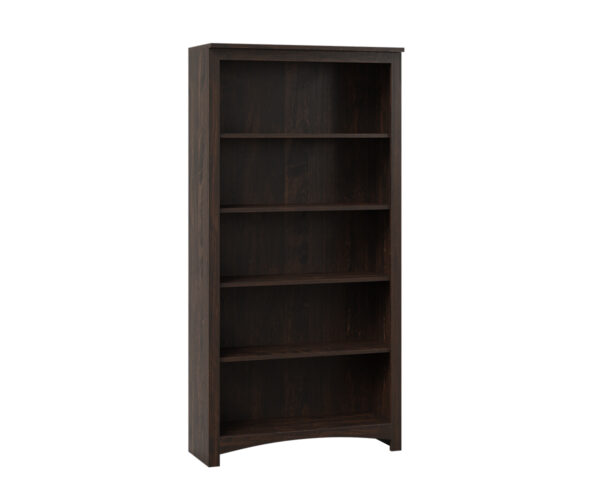 Treasure Economy Bookcase