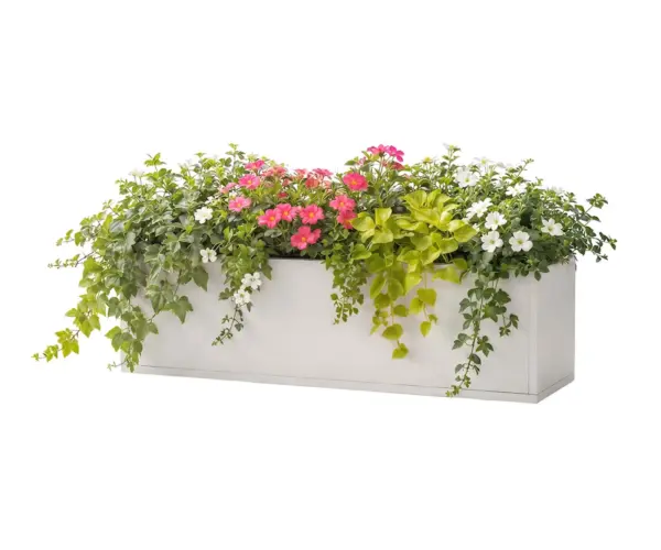 Meadowbox Series Window Box